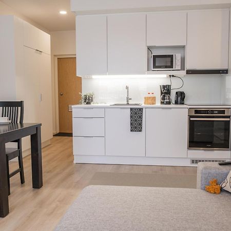 Snowflake Suites, Pet Friendly Accommodation Rovaniemi Exterior photo